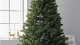 indoor_xmas_tree_treeplus