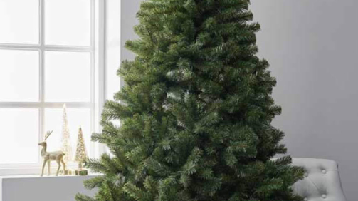 indoor_xmas_tree_treeplus