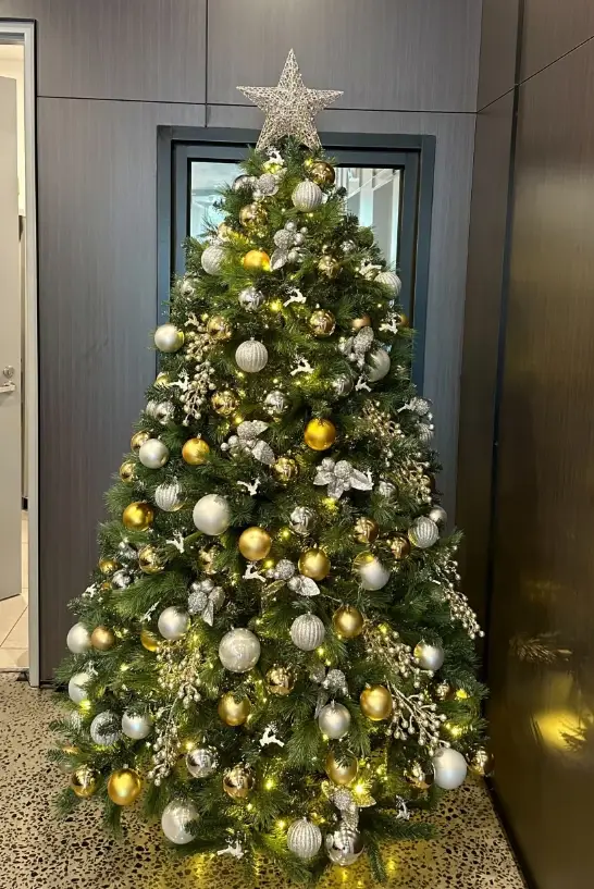 ต้นคริสต์มาสเช่า (16)