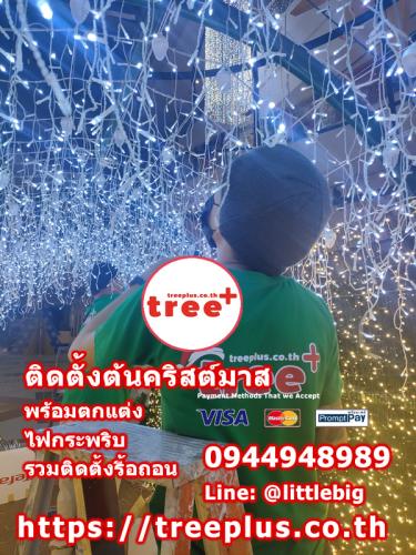 ติดตั้งต้นคริสต์มาส