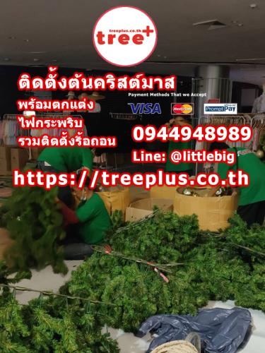 ติดตั้งต้นคริสต์มาส
