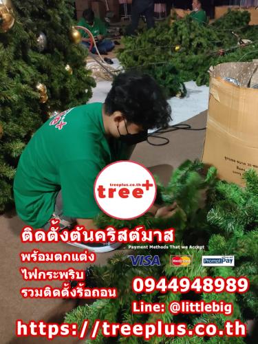 ติดตั้งต้นคริสต์มาส