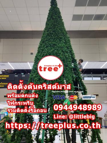 ติดตั้งต้นคริสต์มาส