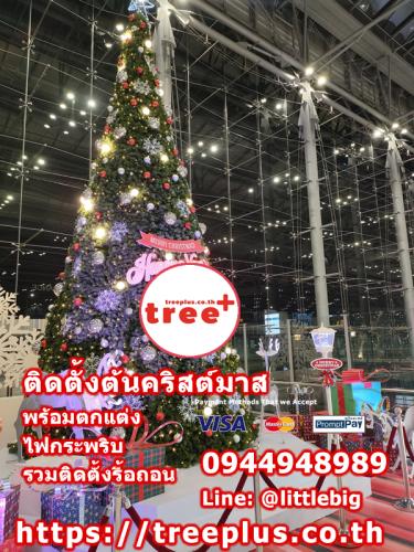 ติดตั้งต้นคริสต์มาส