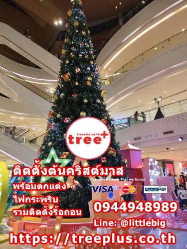 ติดตั้งต้นคริสต์มาส