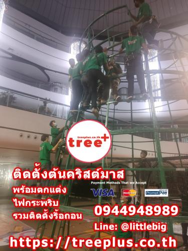 ติดตั้งต้นคริสต์มาส