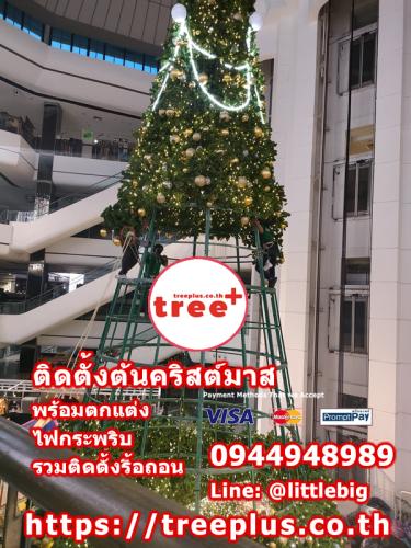 ติดตั้งต้นคริสต์มาส