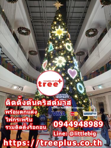 ติดตั้งต้นคริสต์มาส