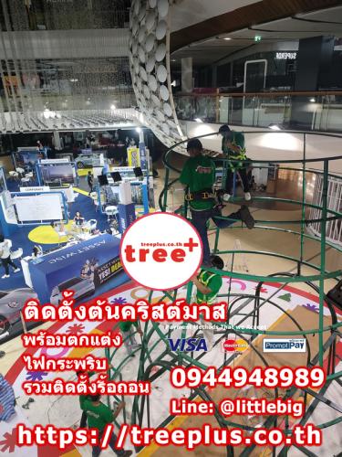 ติดตั้งต้นคริสต์มาส