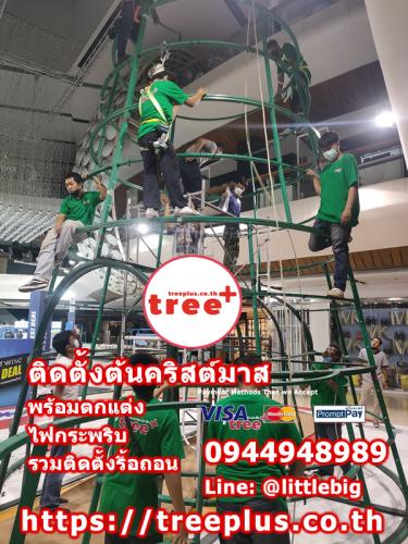 ติดตั้งต้นคริสต์มาส