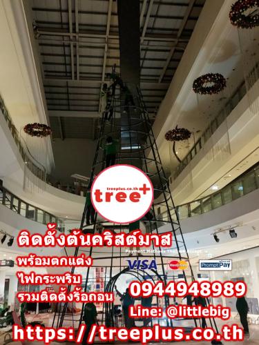 ติดตั้งต้นคริสต์มาส